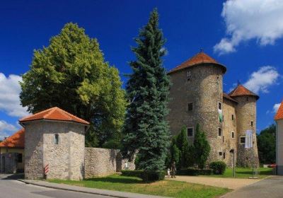 Frankopan Castle