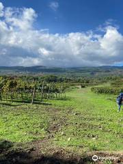 Etna Donkey Trekking