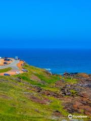 Punta Ballena Lookout Point