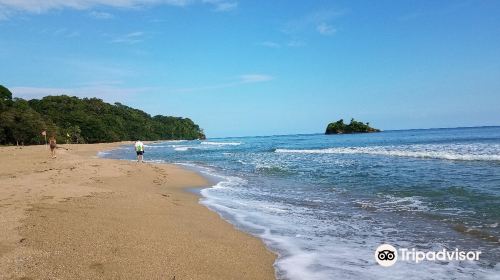 Playa Cocles