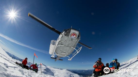 Selkirk Tangiers Heli Skiing