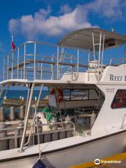 Reef Divers Cayman Islands