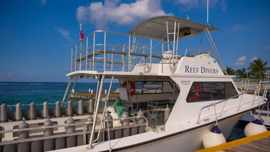 Reef Divers Cayman Islands