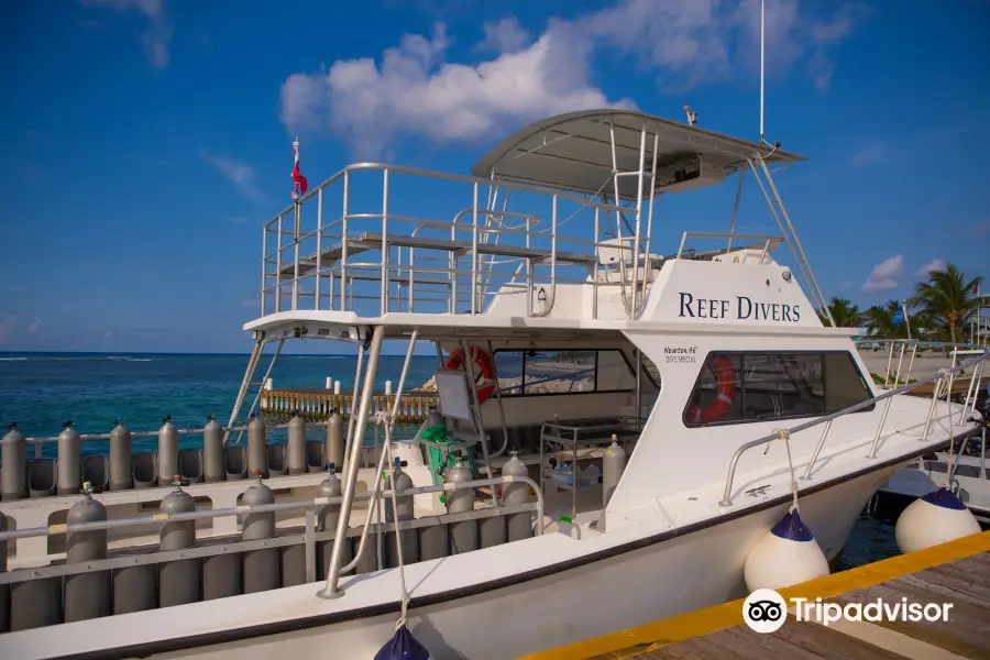 Reef Divers Cayman Islands