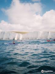 BK Kayaking - Day Adventures