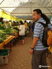 Vientiane Organic Market