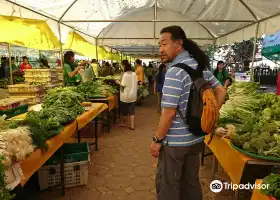 Vientiane Organic Market