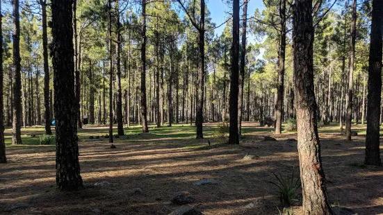 Llanos De La Pez