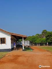 Donkey Clinic and Education Center