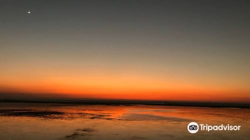 Baikka Beel Wetland Sanctuary