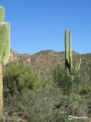 Desert Discovery Nature Trail