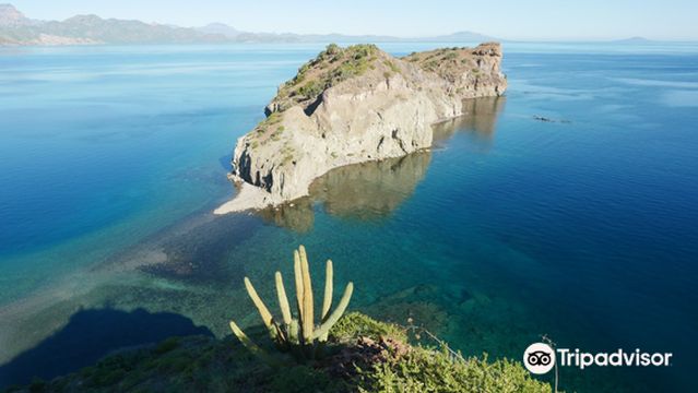 Loreto Guide with Said Orozco
