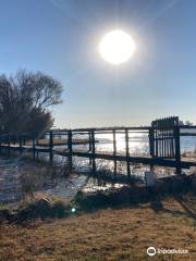 Boskop Dam Nature Reserve