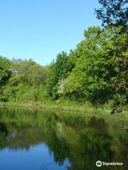 Parc des Gayeulles