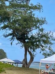 Hukilau Beach Park