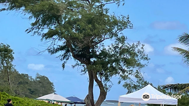 Hukilau Beach Park
