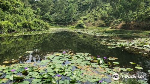 Madhabpur Lake