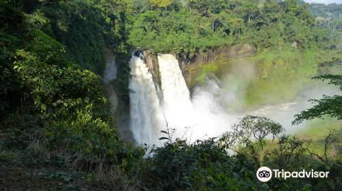 Ekom-Nkam Waterfalls