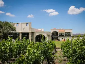 Vinedos Donato