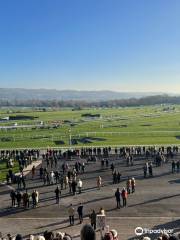 Cheltenham Racecourse