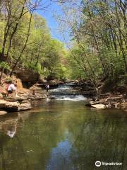 Tanyard Creek Nature Trail