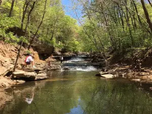 Tanyard Creek Nature Trail