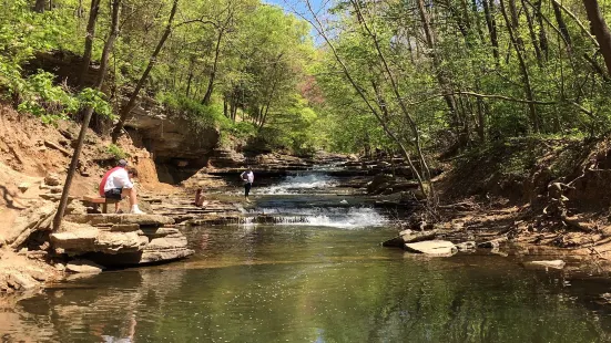 Tanyard Creek Nature Trail
