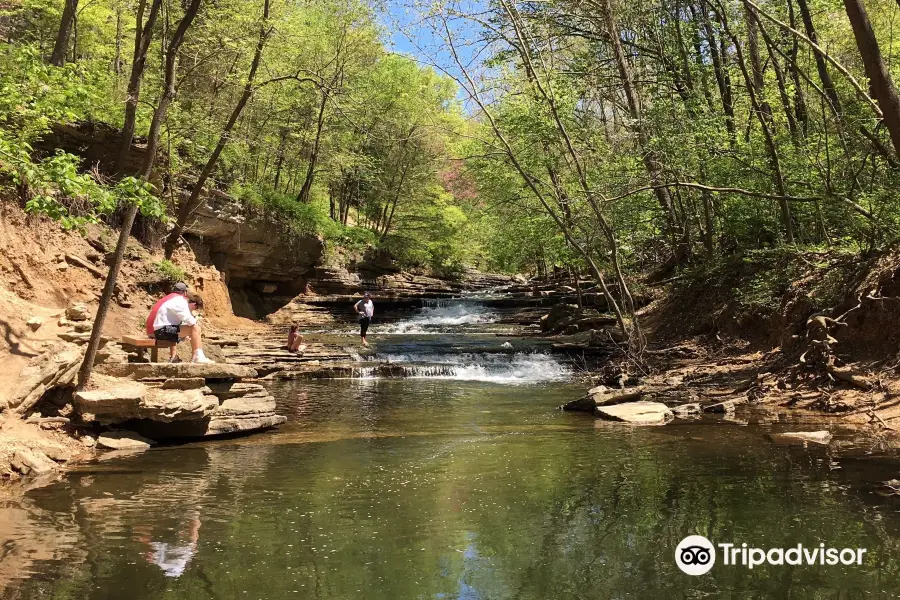 Tanyard Creek Nature Trail