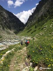The Kashmir Trekking Company