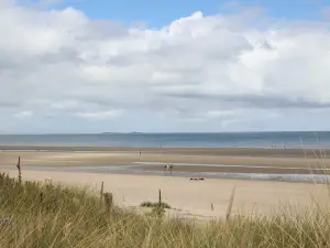 Utah Beach