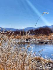 Steamboat Flyfisher