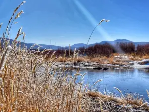 Steamboat Flyfisher