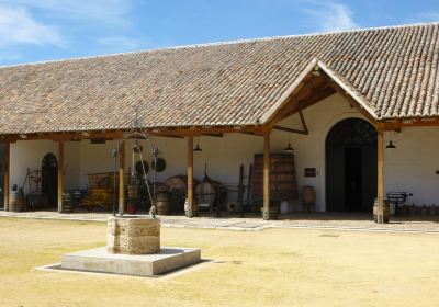 Museo del Vino