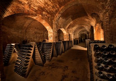 Cantine Bosca - Cattedrali Sotterranee