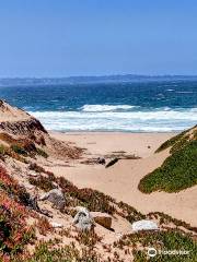 Fort Ord Dunes State Park