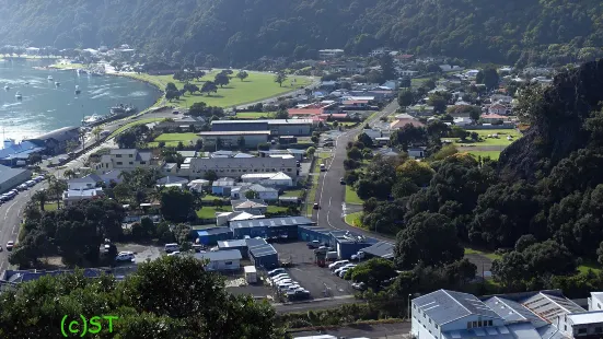 Puketapu Lookout