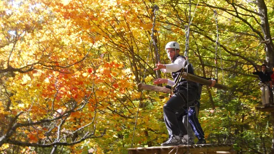 Acro Pole Adventure