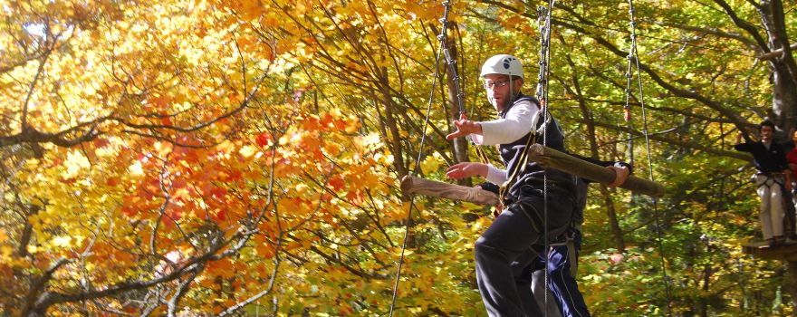 Acro Pole Adventure