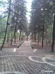 Malabar City Forest