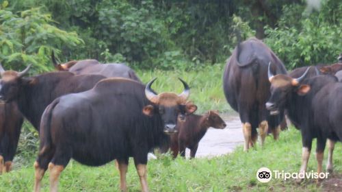 Kui Buri National Park