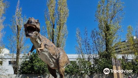 Aquarium of Cattolica