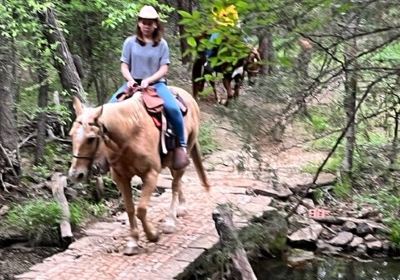 Widowmaker Trail Rides