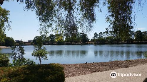 Bundaberg Botanic Gardens