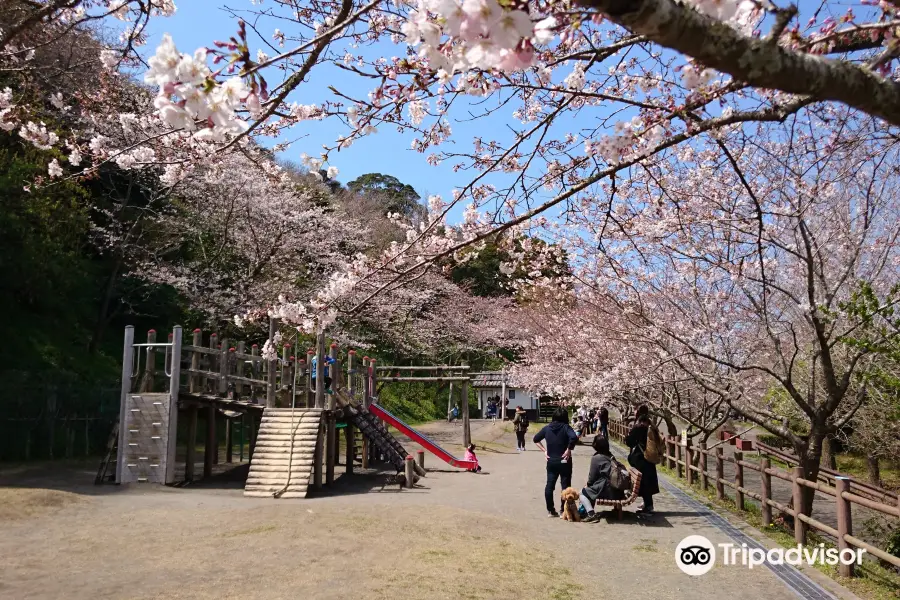 Shiroyama Park