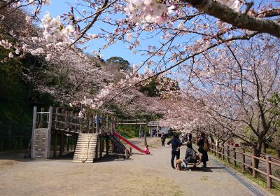 Shiroyama Park