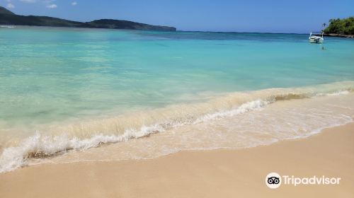 Flora Tours - Excursions Nature - Las Terrenas