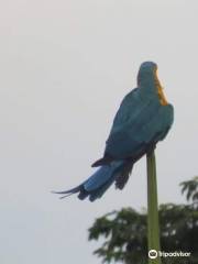 Mayaro nature park