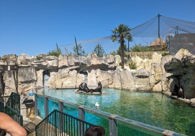 ZooParc de Beauval