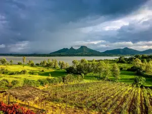 Vallonne Vineyards Pvt. Ltd.