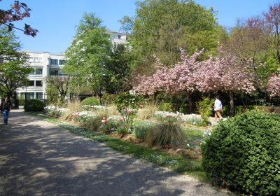 Parc de Bécon